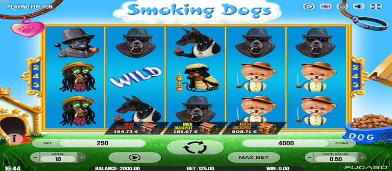 jackpot rokende honden